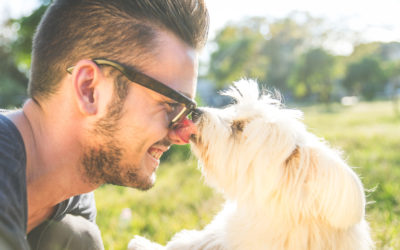5 Tips to Help You Choose a New Pet After Losing One