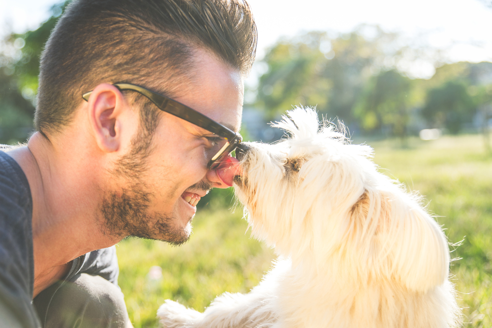 5 Tips to Help You Choose a New Pet After Losing One