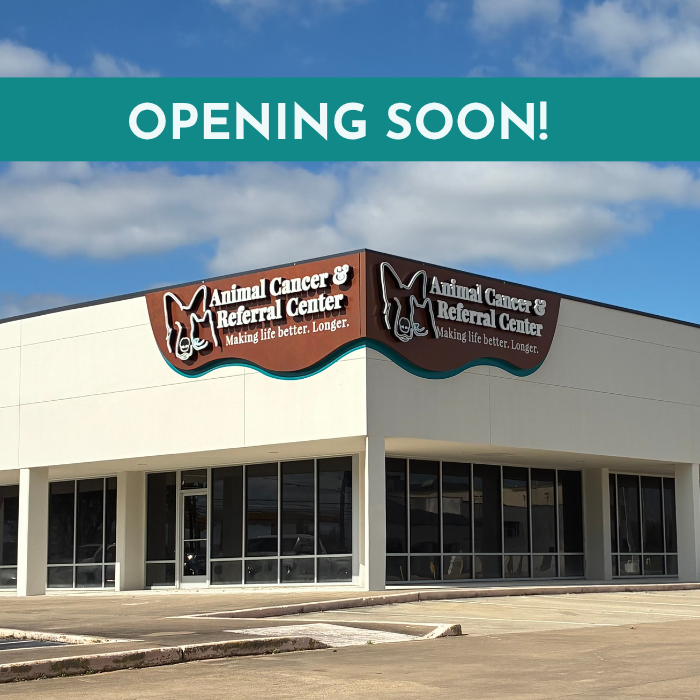 Pearland location with sky